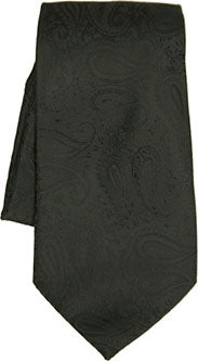 TW Paisley Ties