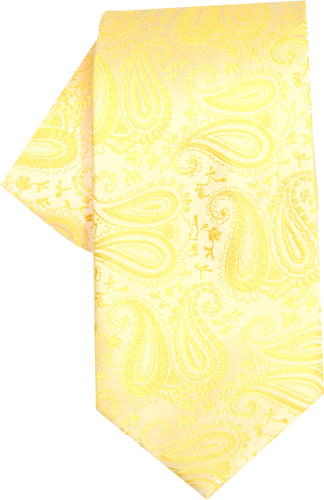TW Paisley Ties