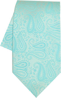 TW Paisley Ties