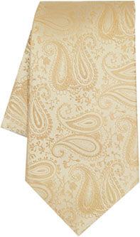 TW Paisley Ties